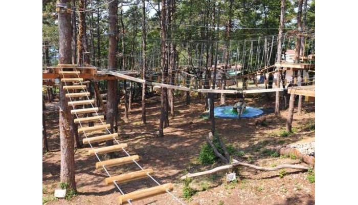 Hotel Omorika poza 16