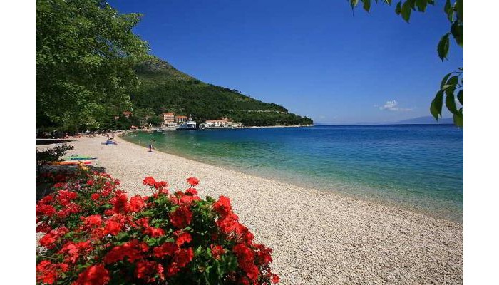 Hotel Quercus poza 8