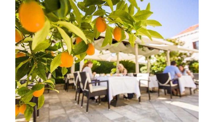 Hotel Kazbek poza 5
