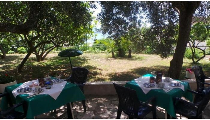 Hotel Pension Vice poza 9