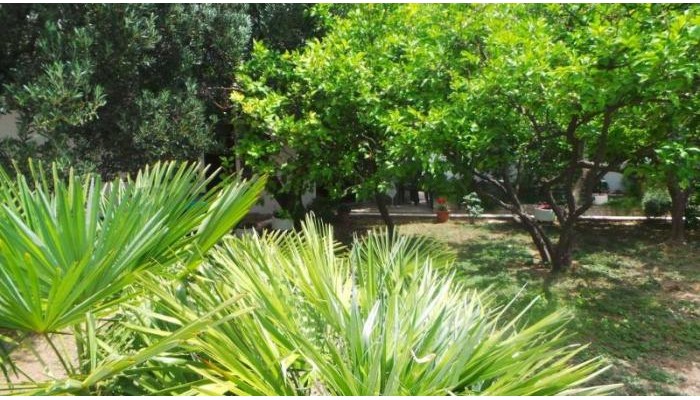 Hotel Pension Vice poza 6