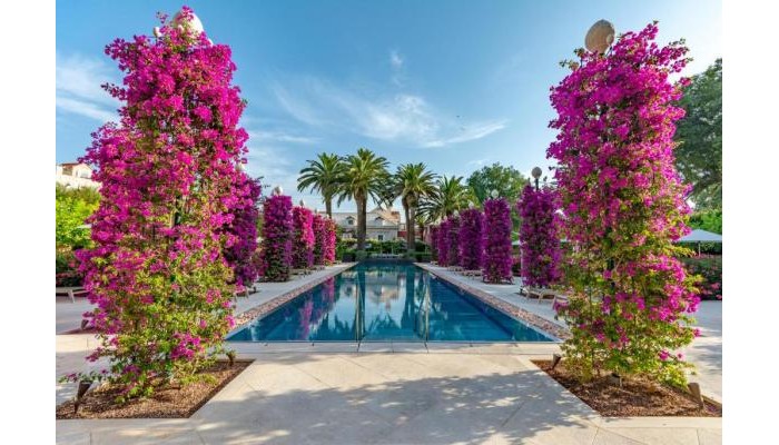 Hotel Lemongarden - Adults Only poza 12