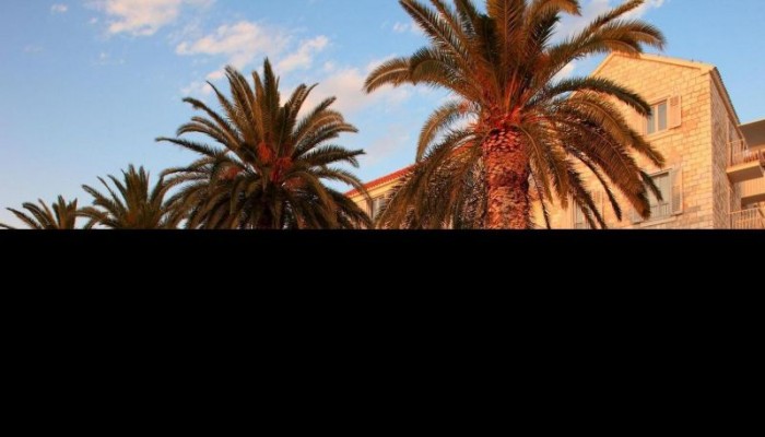 Riva Hvar Yacht Harbour Hotel poza 5