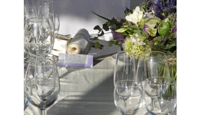 Villa Vilina poza 29