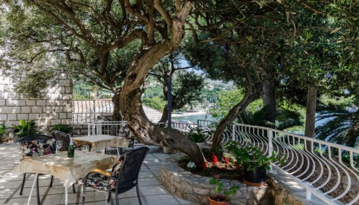 Hotel Guest House Daniela poza 15