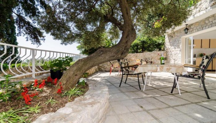 Hotel Guest House Daniela poza 12