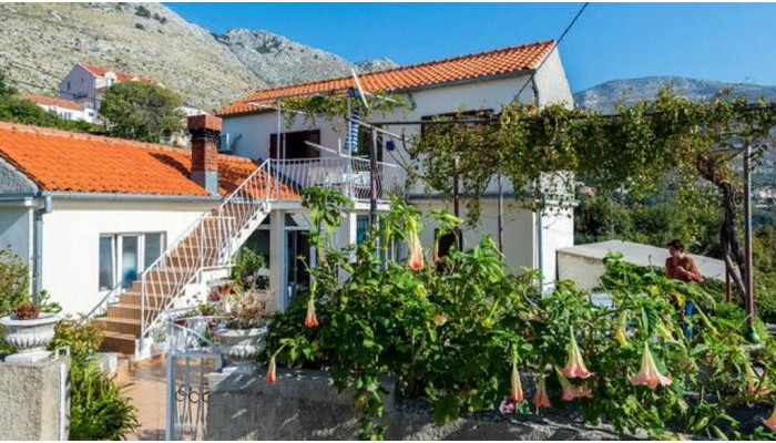 Hotel Guest House Fontana poza 11