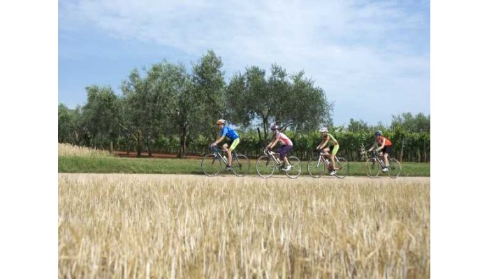 Hotel Aminess Maestral poza 3