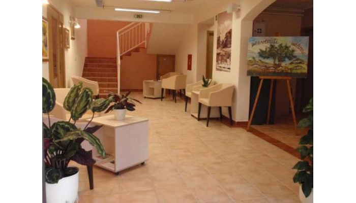 Hotel Pansion Emaus poza 9