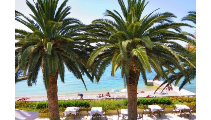 Hotel Indijan poza 27