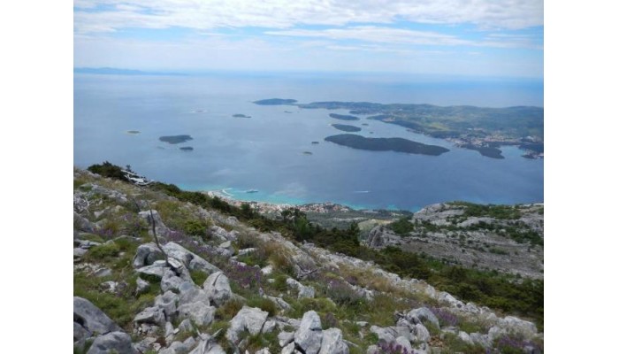 Hotel Indijan poza 38