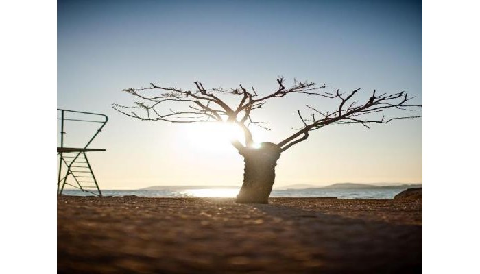 Hotel Jona Split poza 9