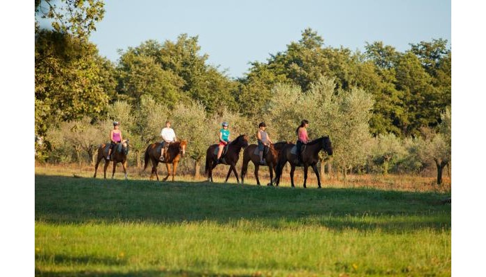 Hotel Parentium Plava Laguna poza 13