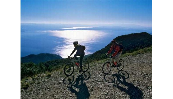 Hotel Allegro poza 7