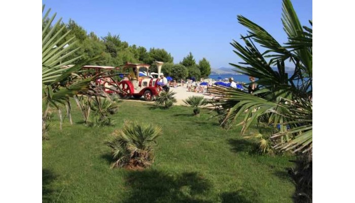 Beach Hotel Jure poza 9