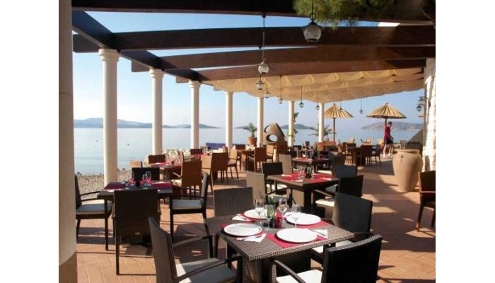 Beach Hotel Jure poza 12