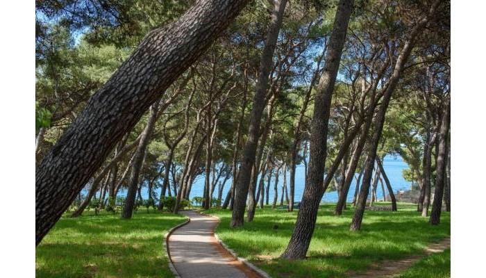 Best Location Apartments poza 2