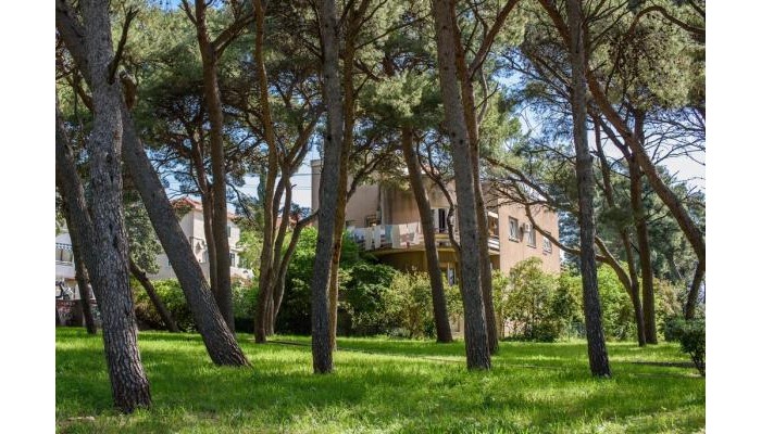 Best Location Apartments poza 5