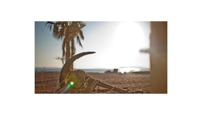 Hotel San Antonio poza 28