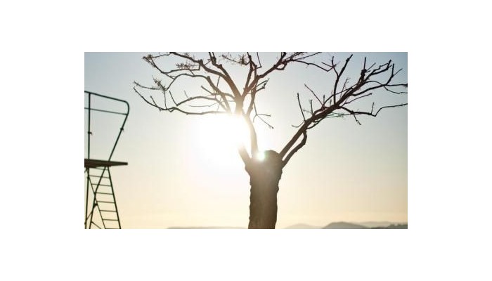 Hotel San Antonio poza 11