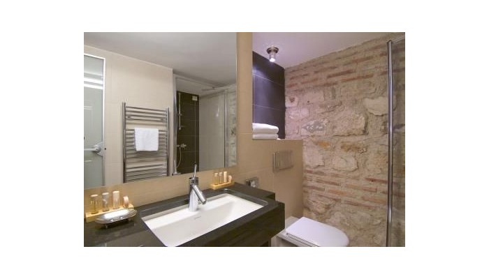 Hotel Vestibul Palace poza 29