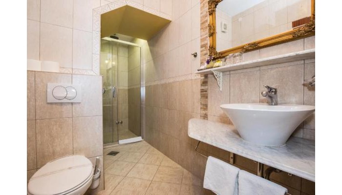 Heritage Hotel Pasike poza 13