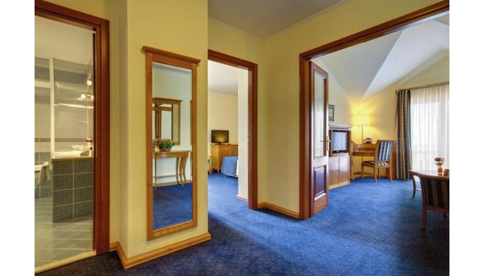 Laurentum Hotel poza 16