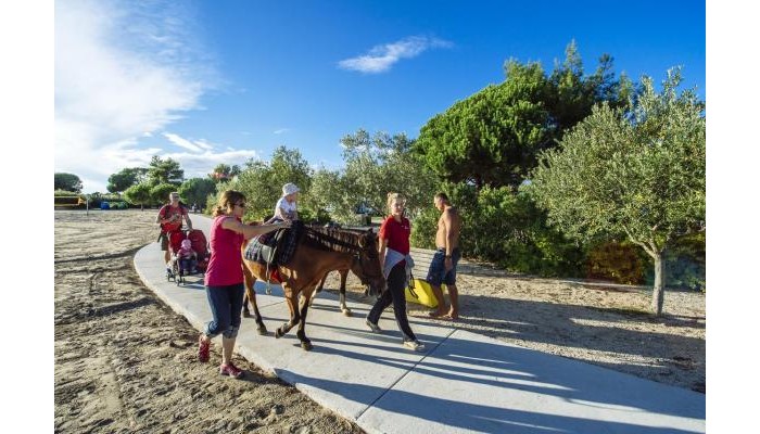 Zaton Holiday Resort poza 16