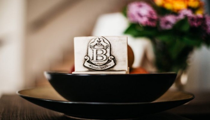 Hotel Buncic Vrbovec poza 4