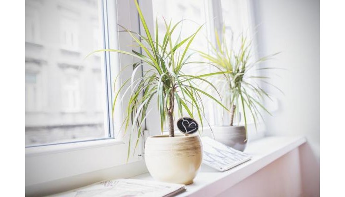 Hotel The Dots Hostel poza 13