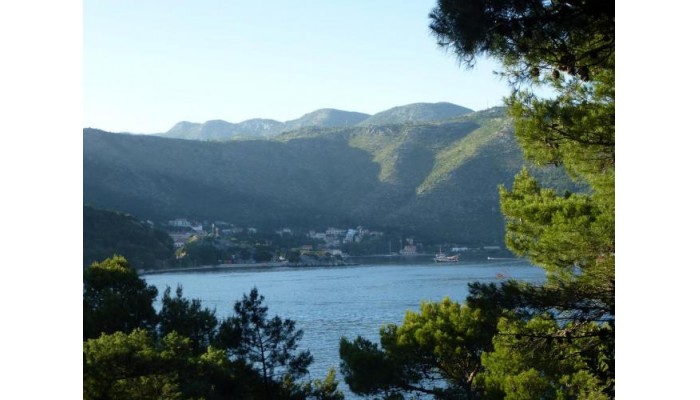 Hotel J&j Bed & Breakfast poza 45