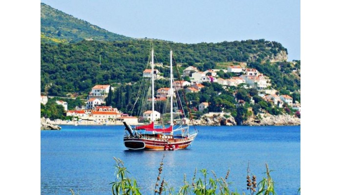 Hotel J&j Bed & Breakfast poza 42